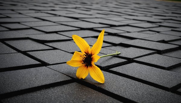 Meilleures options d'epdm pour une protection efficace